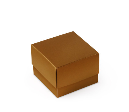 Graziosa Scatola Regalo con Coperchio e Fiocco Decorativo 