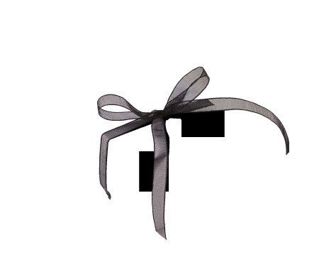 Graziosa Scatola Regalo con Coperchio e Fiocco Decorativo 