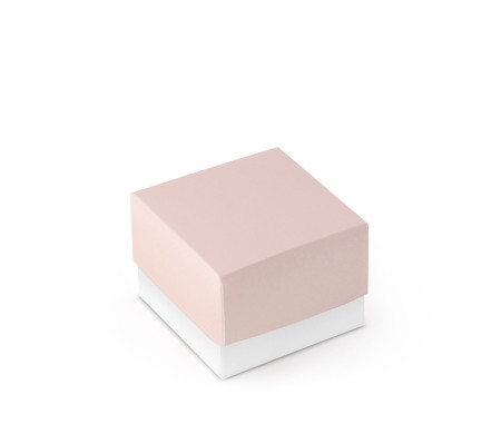 Graziosa Scatola Regalo con Coperchio e Fiocco Decorativo 