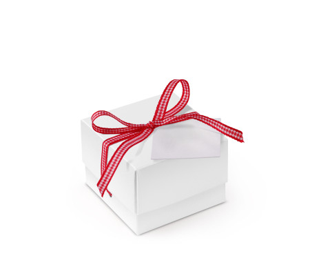 Graziosa Scatola Regalo con Coperchio e Fiocco Decorativo 