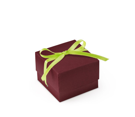 Bonita Caja Regalo con Tapa y Lazo Decorativo