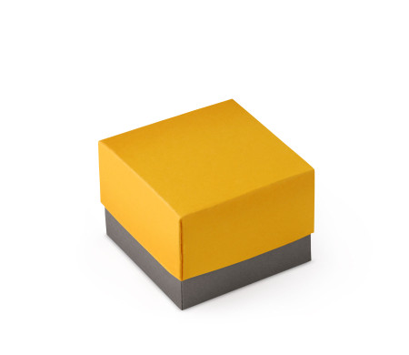 Schöne Geschenkbox mit Deckel und Schleife