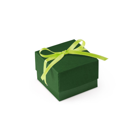 Bonita Caja Regalo con Tapa y Lazo Decorativo
