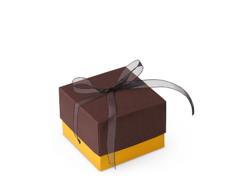 Graziosa Scatola Regalo con Coperchio e Fiocco Decorativo 