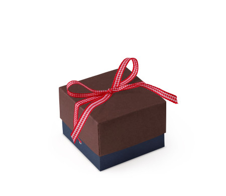 Bonita Caja Regalo con Tapa y Lazo Decorativo