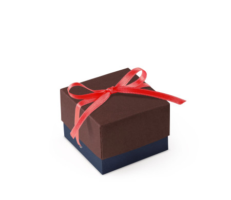Bonita Caja Regalo con Tapa y Lazo Decorativo