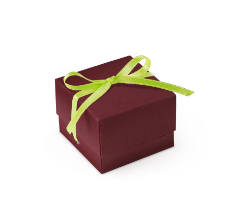 Schöne Geschenkbox mit Deckel und Schleife