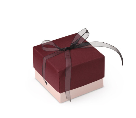 Bonita Caja Regalo con Tapa y Lazo Decorativo