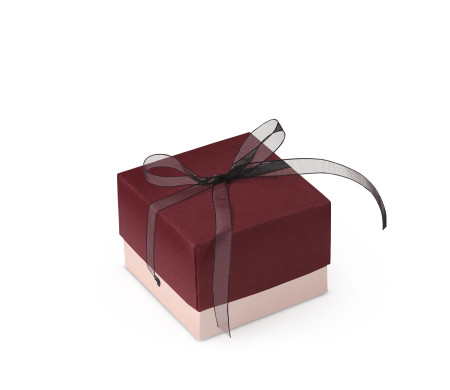 Bonita Caja Regalo con Tapa y Lazo Decorativo