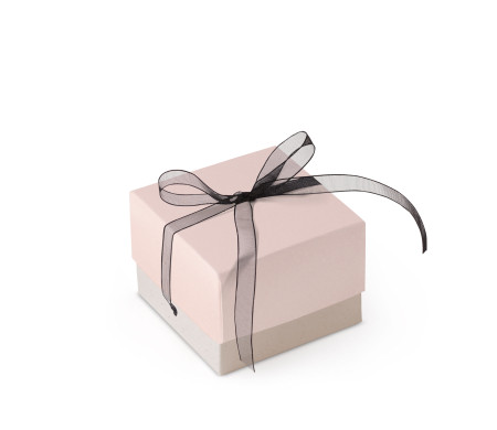 Bonita Caja Regalo con Tapa y Lazo Decorativo