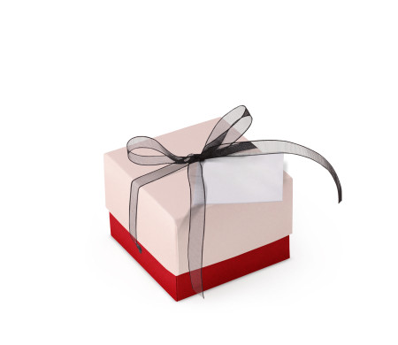 Bonita Caja Regalo con Tapa y Lazo Decorativo