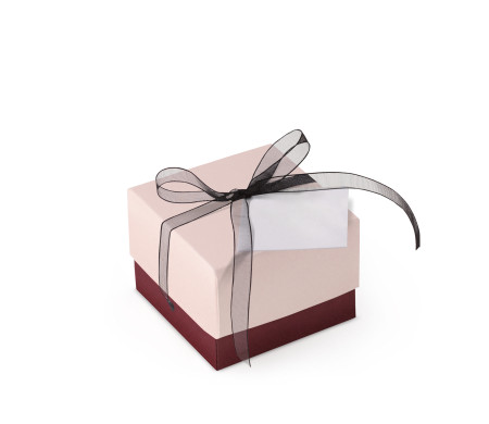 Jolie Boîte Cadeau avec Fermeture et Noeud Décoratif