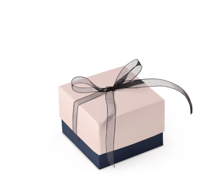 Graziosa Scatola Regalo con Coperchio e Fiocco Decorativo 