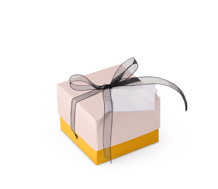 Schöne Geschenkbox mit Deckel und Schleife