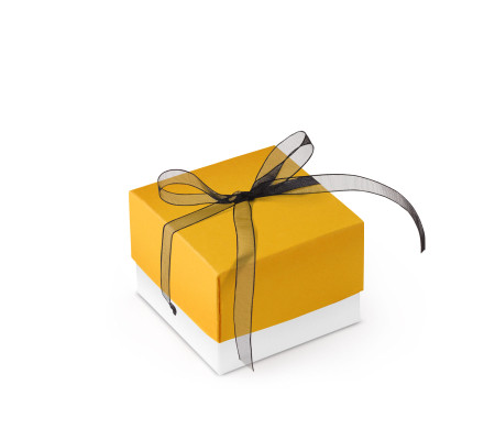 Pretty Gift Box with Lid and Decorative Bow