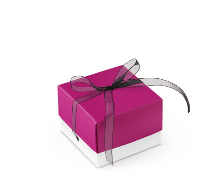 Jolie Boîte Cadeau avec Fermeture et Noeud Décoratif