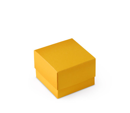 Graziosa Scatola Regalo con Coperchio e Fiocco Decorativo 