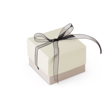 Graziosa Scatola Regalo con Coperchio e Fiocco Decorativo 
