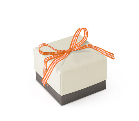 Bonita Caja Regalo con Tapa y Lazo Decorativo