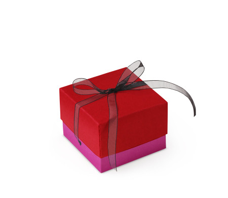 Graziosa Scatola Regalo con Coperchio e Fiocco Decorativo 