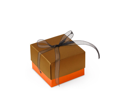 Jolie Boîte Cadeau avec Fermeture et Noeud Décoratif
