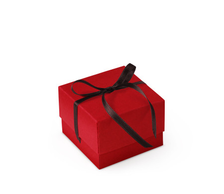 Bonita Caja Regalo con Tapa y Lazo Decorativo