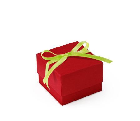 Graziosa Scatola Regalo con Coperchio e Fiocco Decorativo 