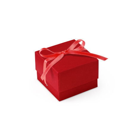 Graziosa Scatola Regalo con Coperchio e Fiocco Decorativo 
