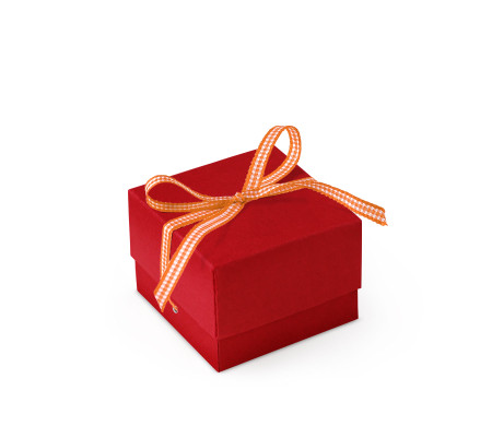 Bonita Caja Regalo con Tapa y Lazo Decorativo