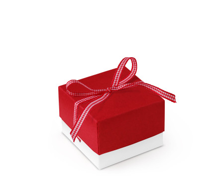 Bonita Caja Regalo con Tapa y Lazo Decorativo
