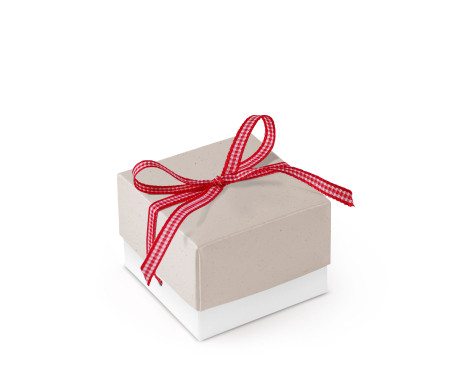 Bonita Caja Regalo con Tapa y Lazo Decorativo