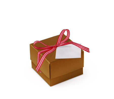 Schöne Geschenkbox mit Deckel und Schleife