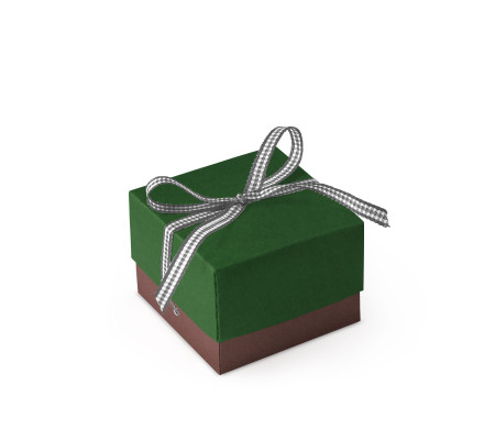 Jolie Boîte Cadeau avec Fermeture et Noeud Décoratif