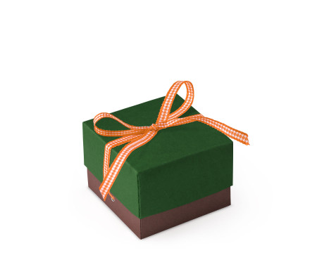 Bonita Caja Regalo con Tapa y Lazo Decorativo