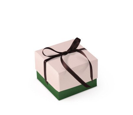 Bonita Caja Regalo con Tapa y Lazo Decorativo