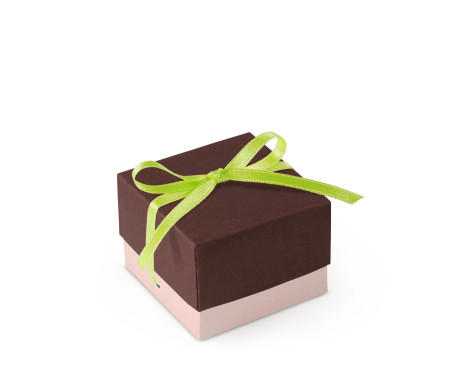 Bonita Caja Regalo con Tapa y Lazo Decorativo