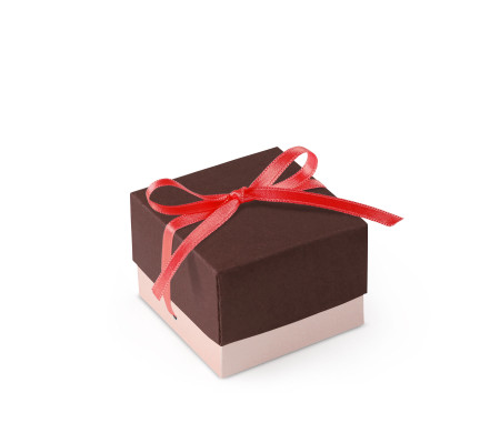 Bonita Caja Regalo con Tapa y Lazo Decorativo