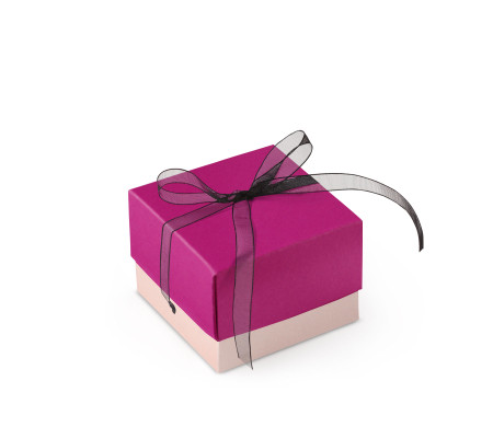 Graziosa Scatola Regalo con Coperchio e Fiocco Decorativo 