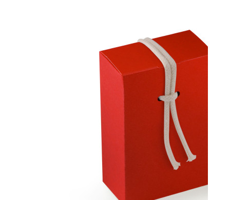 Cardboard Gift Box with a Very Original Fastener