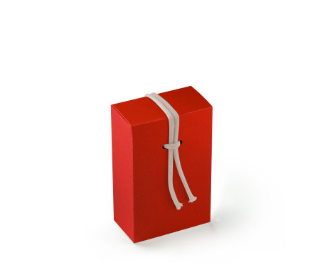 Scatola Regalo in Cartone con Un'Originalissima Chiusura