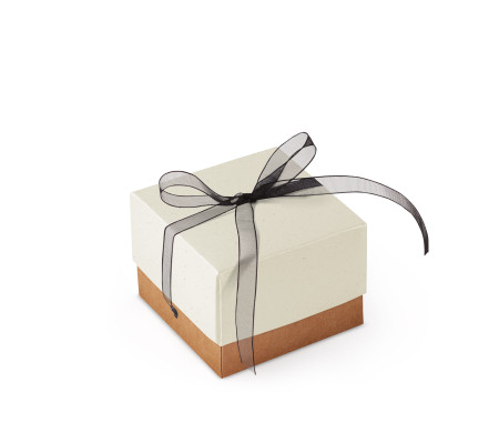 Bonita Caja Regalo con Tapa y Lazo Decorativo