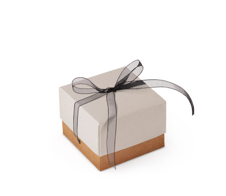 Bonita Caja Regalo con Tapa y Lazo Decorativo