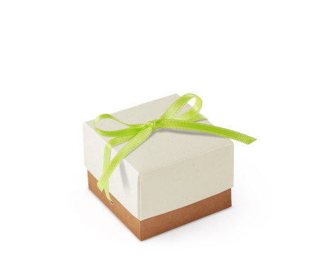 Bonita Caja Regalo con Tapa y Lazo Decorativo