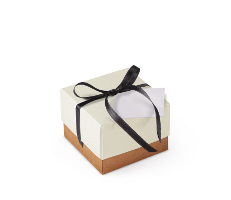 Schöne Geschenkbox mit Deckel und Schleife