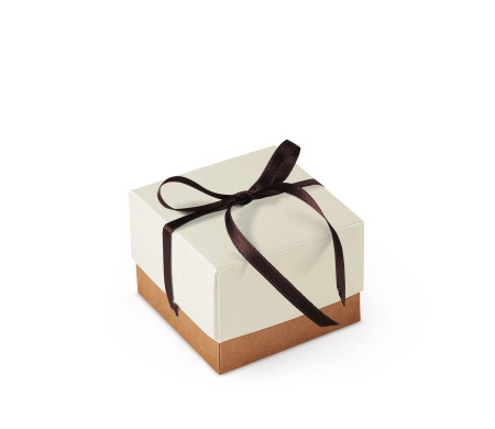 Jolie Boîte Cadeau avec Fermeture et Noeud Décoratif