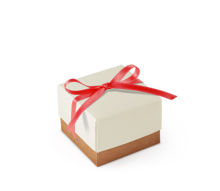 Graziosa Scatola Regalo con Coperchio e Fiocco Decorativo 