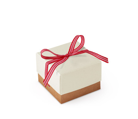 Schöne Geschenkbox mit Deckel und Schleife