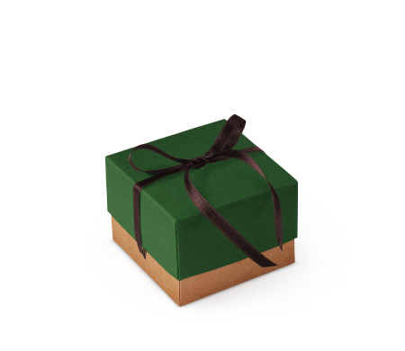 Bonita Caja Regalo con Tapa y Lazo Decorativo
