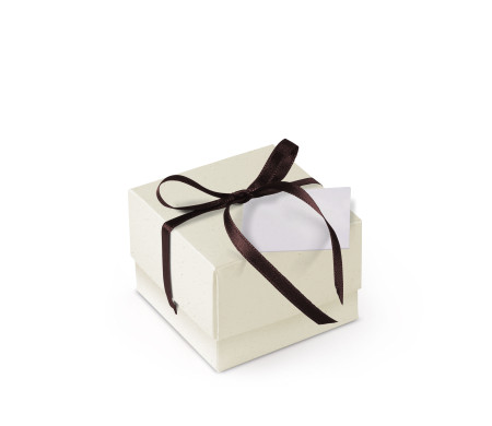 Schöne Geschenkbox mit Deckel und Schleife