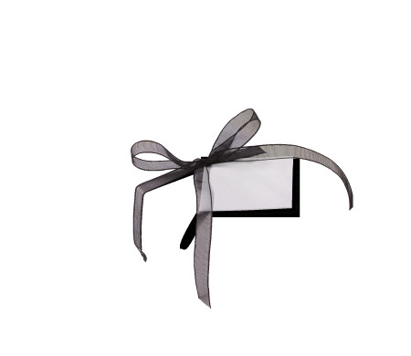 Graziosa Scatola Regalo con Coperchio e Fiocco Decorativo 